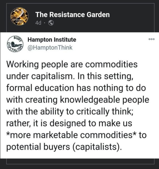 15125491.jpeg