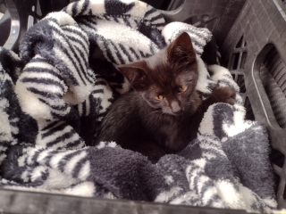 photo/13c504d7-8ce2-445a-aeac-c712e86eeef2-3