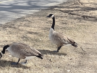 photo/1e96bfdd-22a5-4eb4-90ca-0b35f39dc265-3