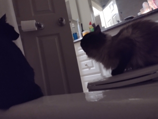 photo/2c037723-ba1b-4116-b878-028ef0e2c4ac-3