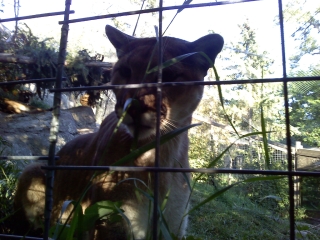 photo/4cdb4a90-4b10-4aff-9bdc-c7cdb54c852b-3