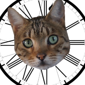 CatAClock :spinny_cat_agender: