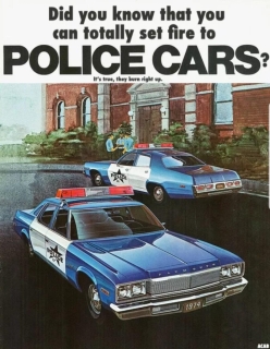 set fire to police cars.jpg