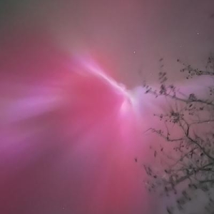 Sweet Home Alaberta  🇨🇦 🇺🇦 🏳️‍🌈 🏳️‍⚧️ 🇲🇽