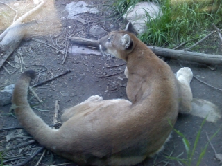 photo/6670ecd2-8413-49b2-98f9-9540594331f0-3