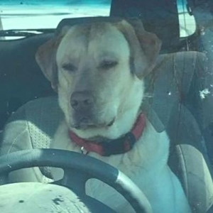 Truth Or Consequences ✅   🇺🇦