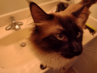 photo/688206f9-e648-44f6-8917-e405a1a7b234-3