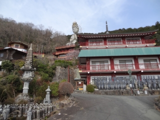 DSC01376.JPG