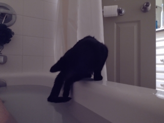 photo/7f36fa6f-cc5e-4495-9a4f-bc8dab3c7eac-3