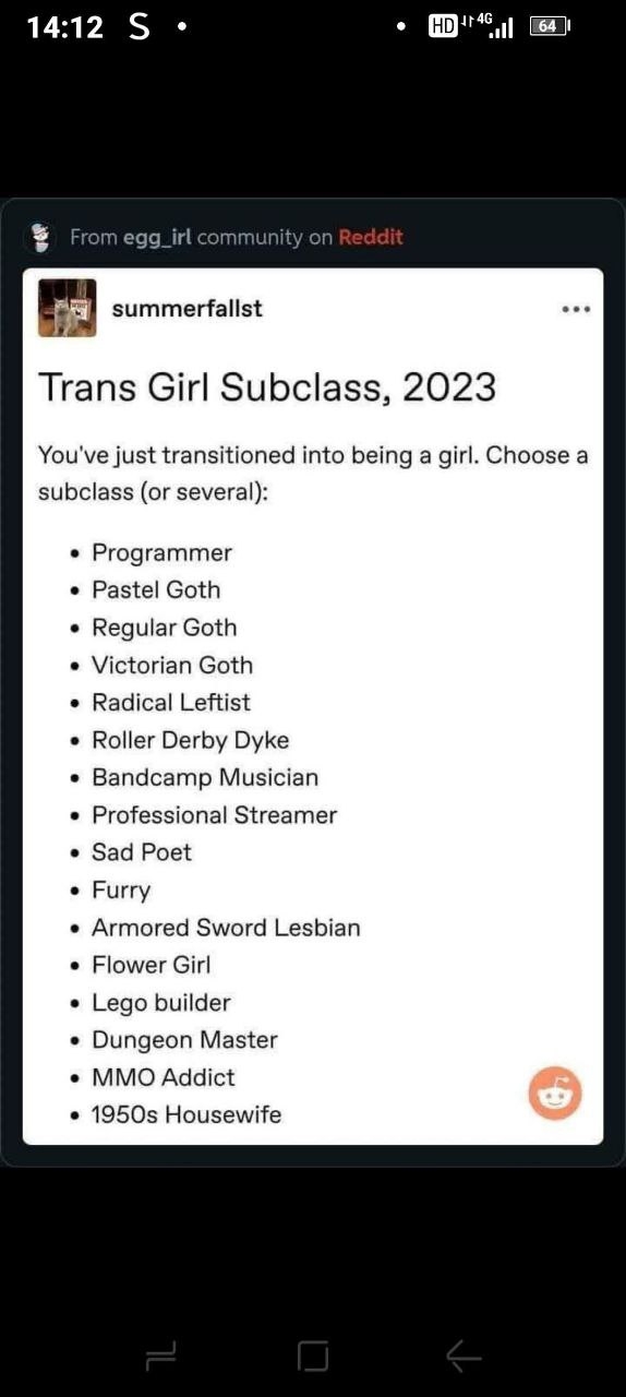 Trans Girl Subclass, 2023: You've just transitioned into being a girl. Choose a subclass (or several): Programmer, Pastell Goth, Regular Goth, Radical Leftist, Roller Derby Dyke, Bandcamp Musician, Professional Streamer, Sad Poet, Furry, Armoured Sword Lesbian, Flower Girl, Lego Builder, Dungeon Master, MMO Addict, 1950s Housewife