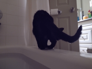 photo/99c9c4f3-6cdc-4ad8-a0d2-b71abada3f81-3