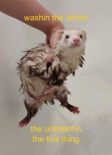 photo/b776cd73-c81b-4b29-8982-497d02409771-3