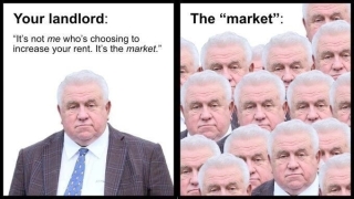 46955189.jpg
