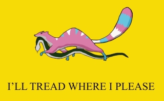 FrNNsdRXgBEjXBX.jpg