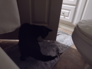 photo/e38c6ff2-e87a-4be5-99fa-0fc50ce71809-3