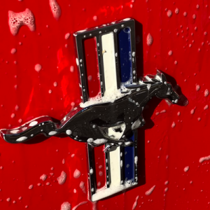 Democracy Dies in Dumbass