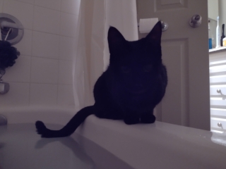 photo/fc441abf-1290-4679-8c68-15829da7546d-3