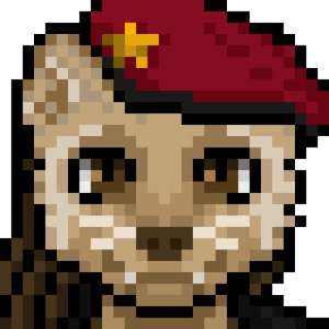 ferret